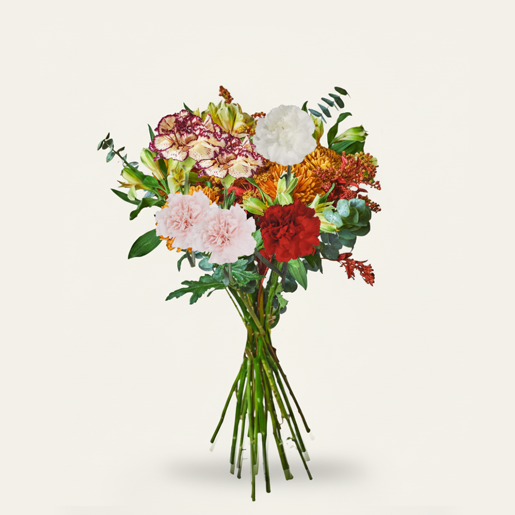 Assorted Carnations