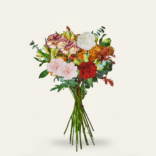 Assorted Carnations