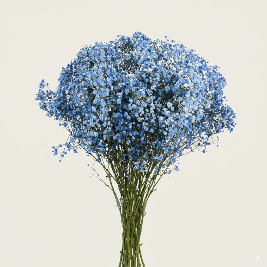 Baby's Breath Tinted Blue
