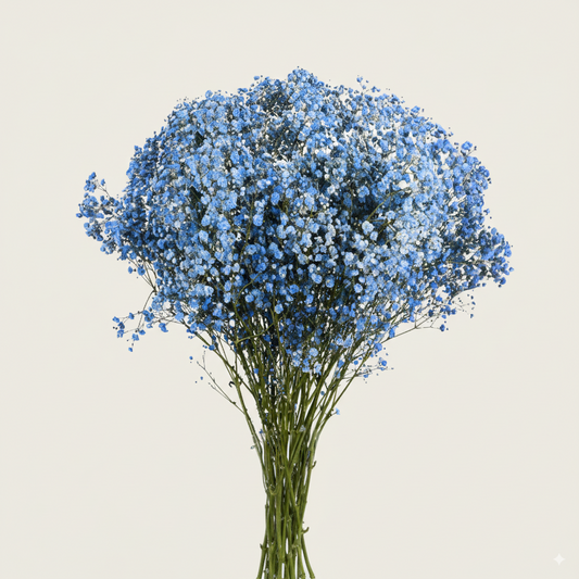 Baby's Breath Tinted Blue